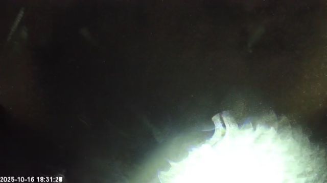 AMS135 meteor