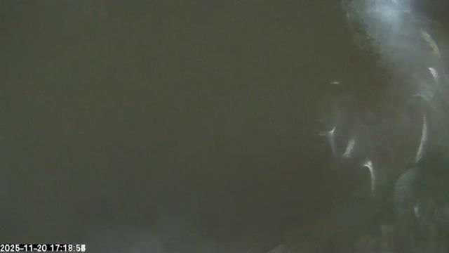 AMS135 meteor