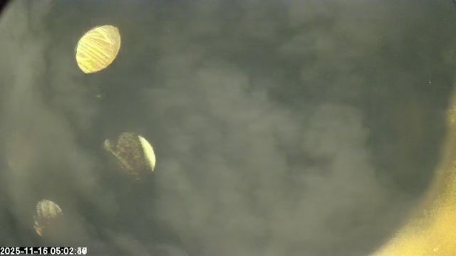 AMS172 meteor