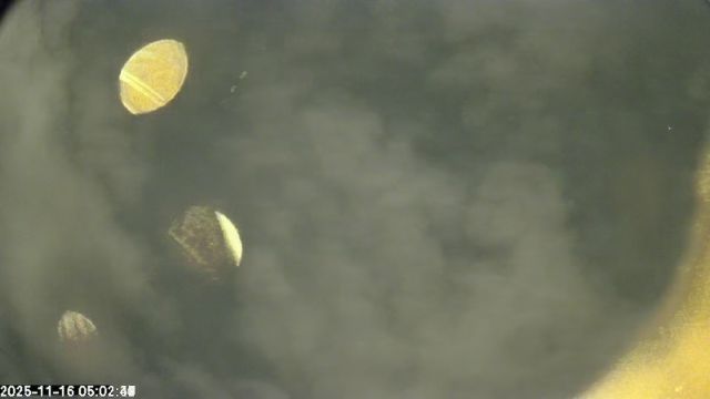 AMS172 meteor