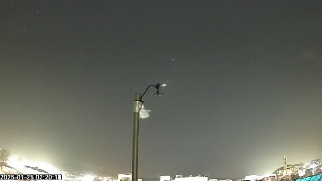 AMS175 meteor