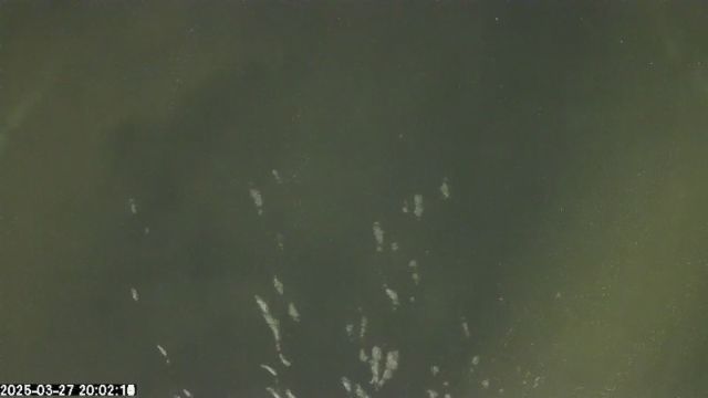 AMS175 meteor