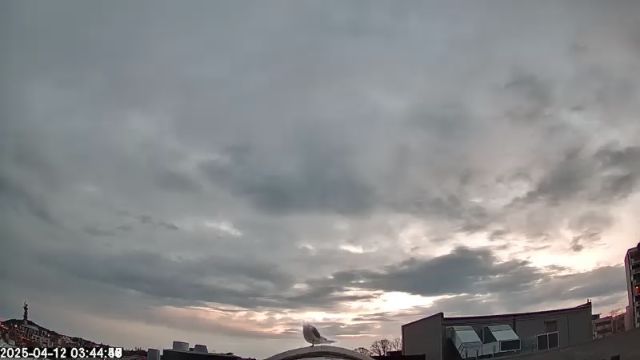 AMS175 meteor
