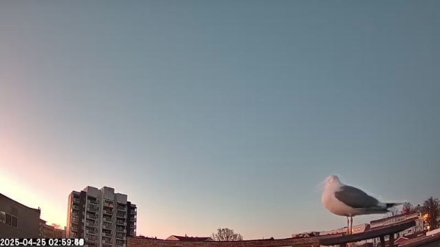 AMS175 meteor