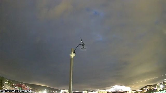 AMS175 meteor
