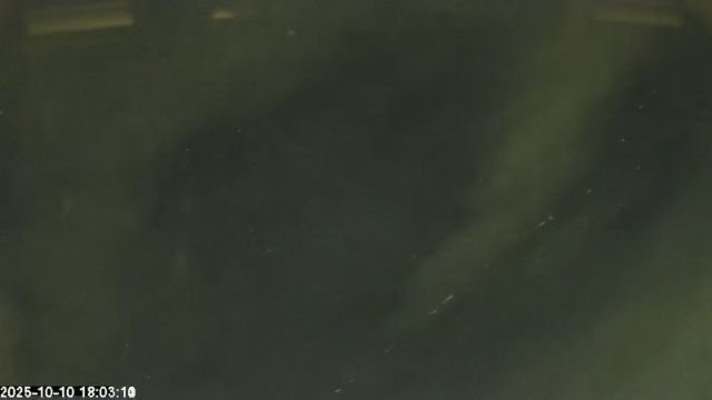 AMS176 meteor
