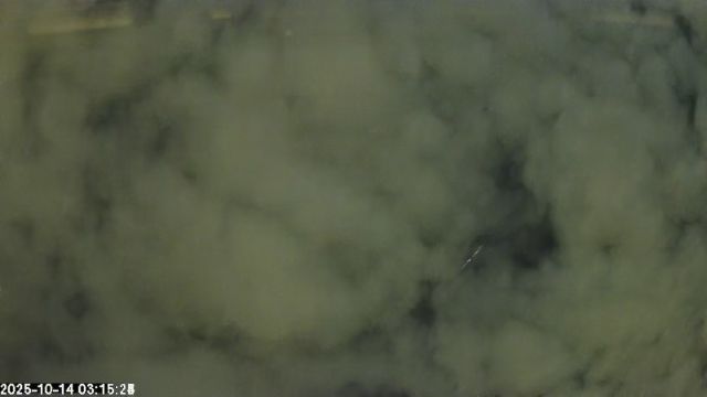 AMS176 meteor