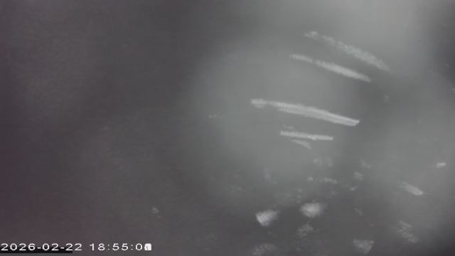 AMS177 meteor