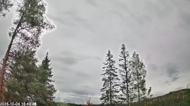 AMS178 meteor