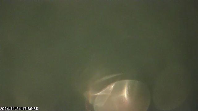 AMS179 meteor