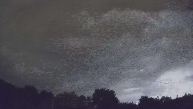 AMS18 meteor