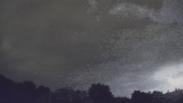 AMS18 meteor