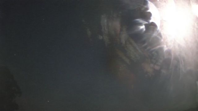AMS202 meteor