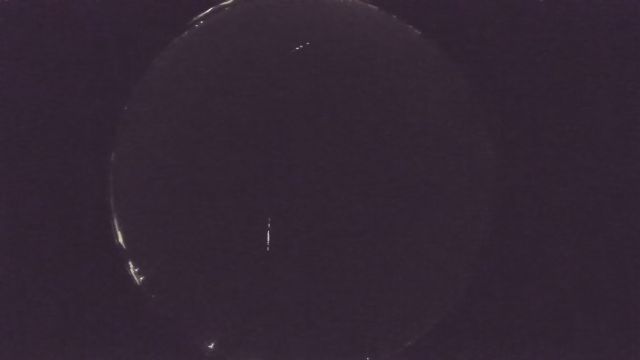 AMS204 meteor