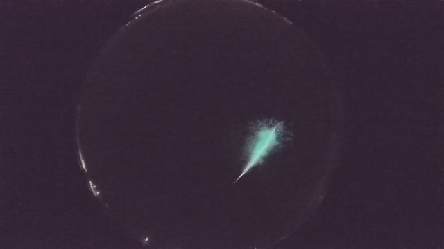 AMS204 meteor
