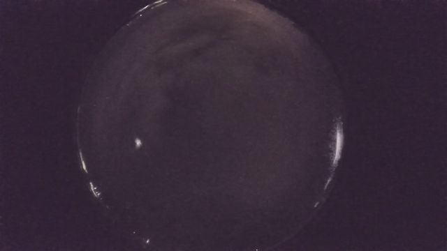 AMS204 meteor