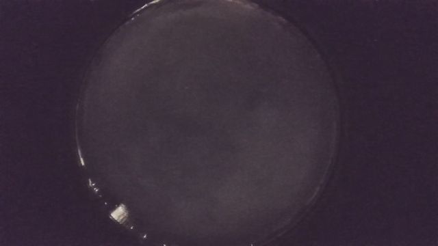 AMS204 meteor