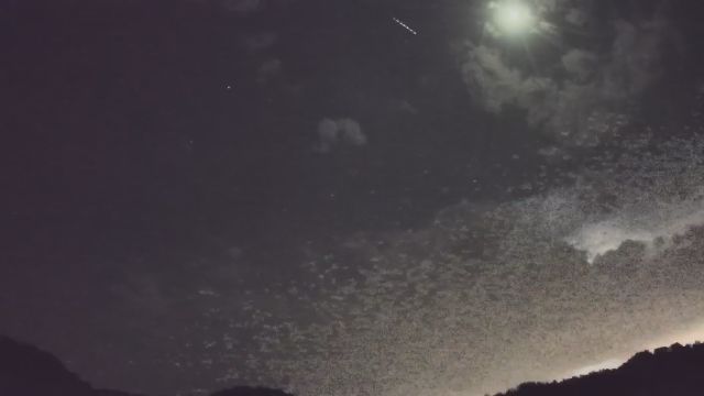 AMS206 meteor