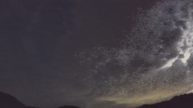 AMS206 meteor