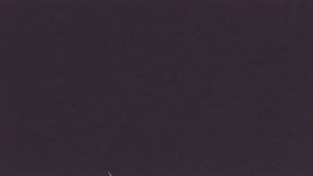 AMS207 meteor