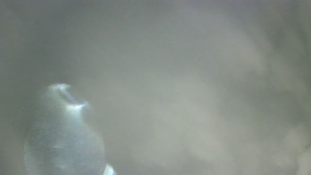 AMS213 meteor