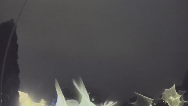 AMS213 meteor