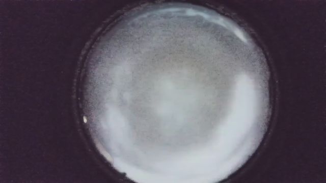 AMS216 meteor