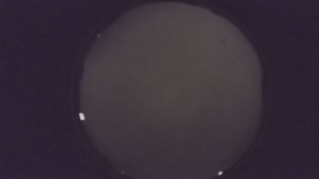 AMS216 meteor