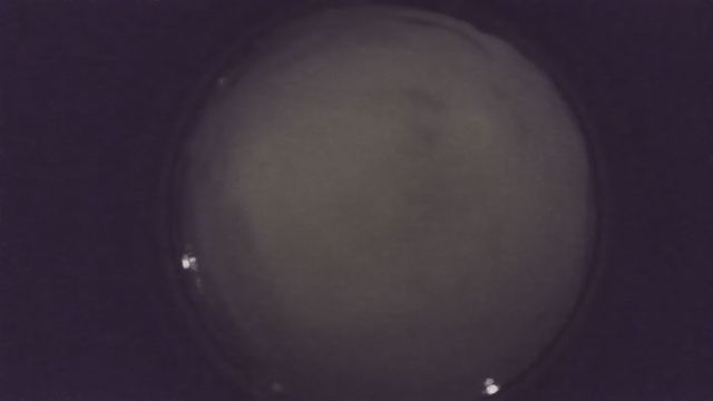AMS216 meteor