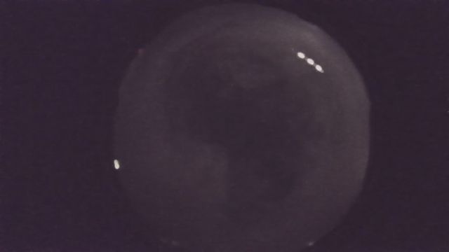 AMS216 meteor