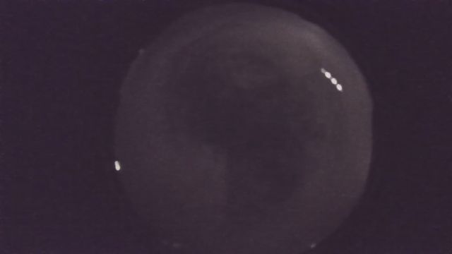 AMS216 meteor
