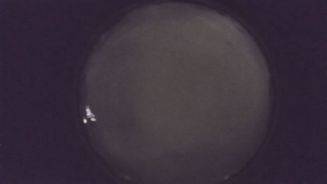 AMS216 meteor