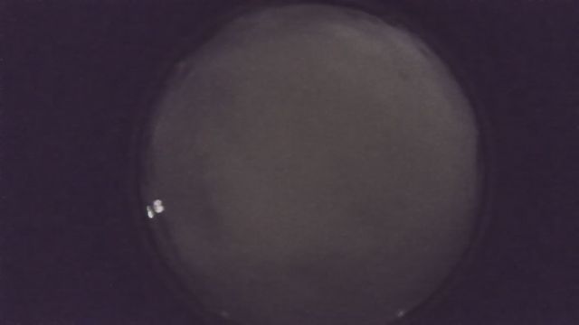 AMS216 meteor
