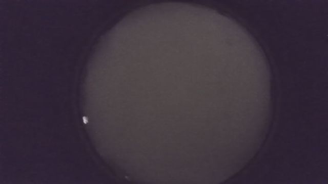 AMS216 meteor