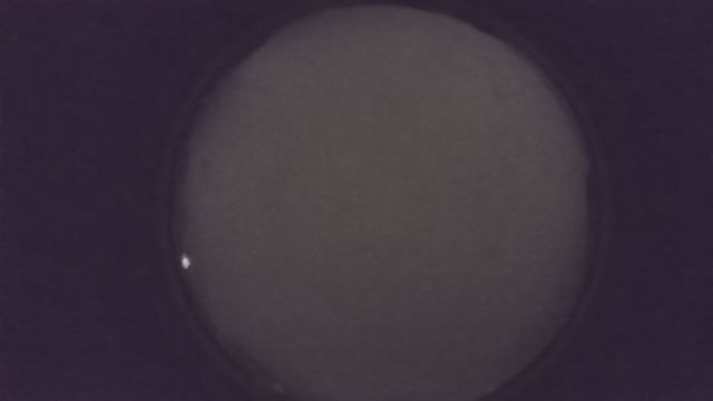 AMS216 meteor