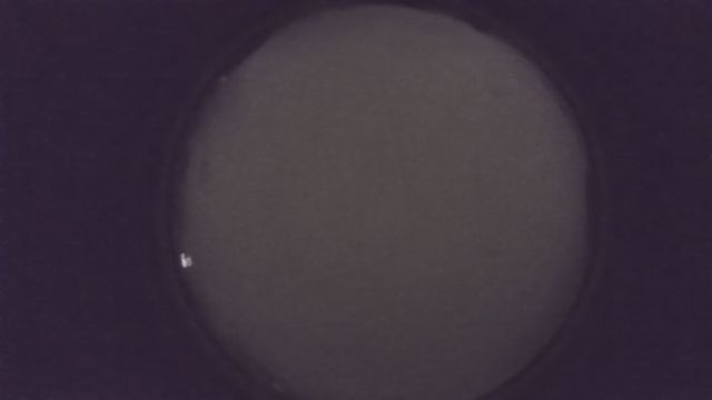 AMS216 meteor