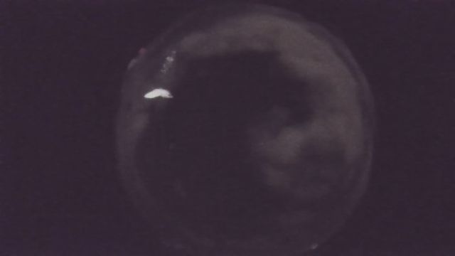 AMS216 meteor
