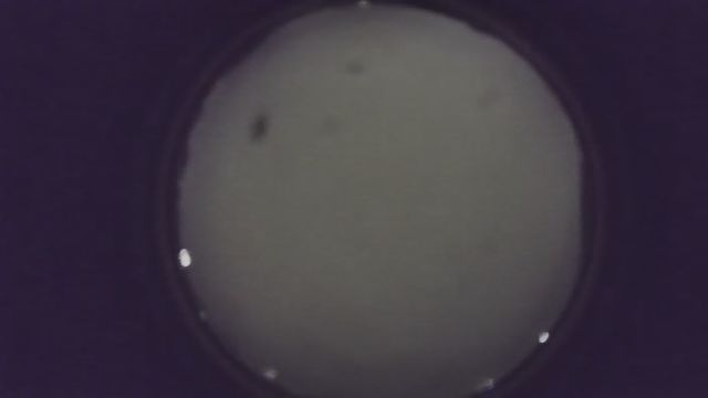 AMS216 meteor