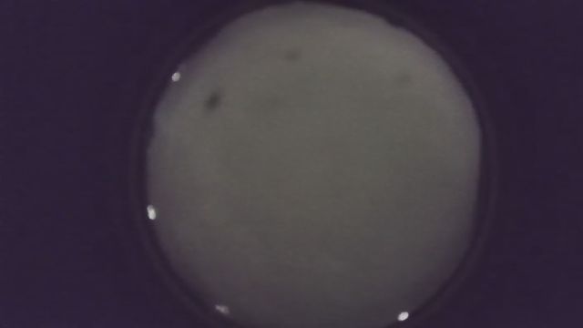 AMS216 meteor