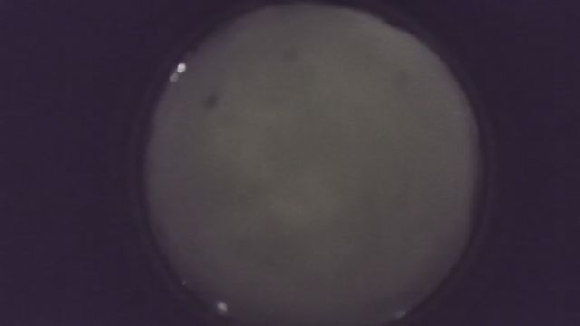 AMS216 meteor