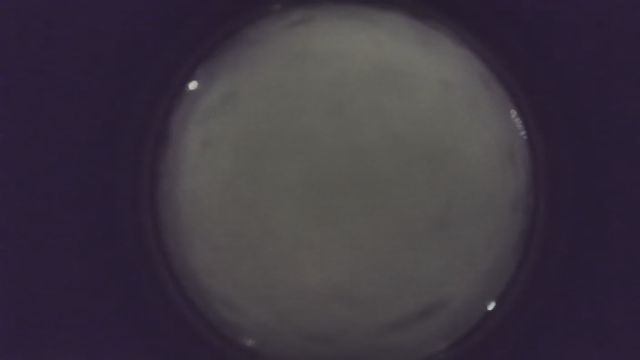 AMS216 meteor