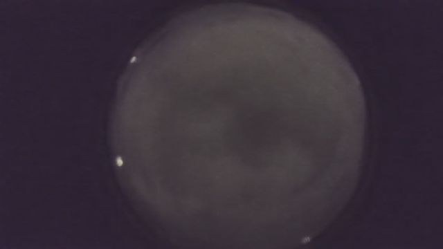 AMS216 meteor