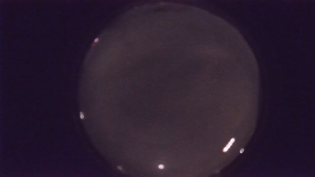 AMS216 meteor