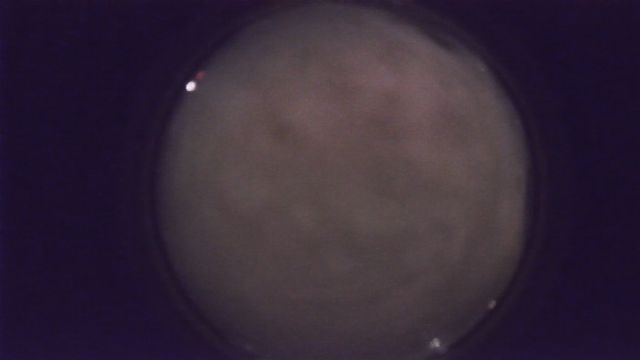 AMS216 meteor