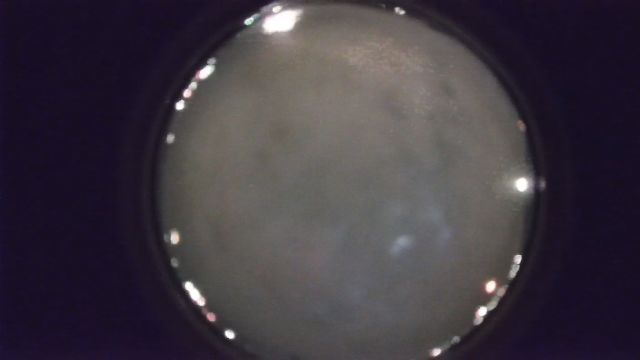 AMS216 meteor