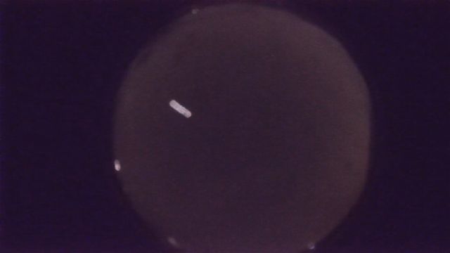 AMS216 meteor