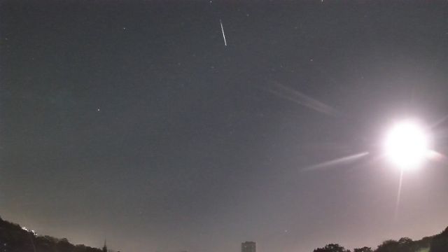 AMS216 meteor