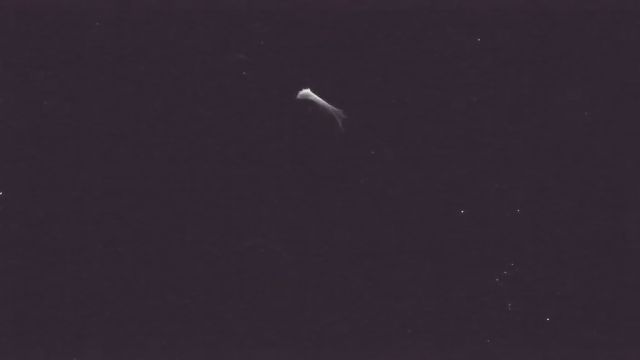 AMS221 meteor