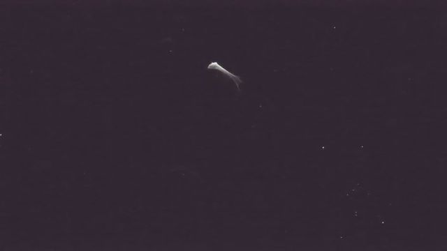 AMS221 meteor