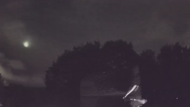 AMS223 meteor